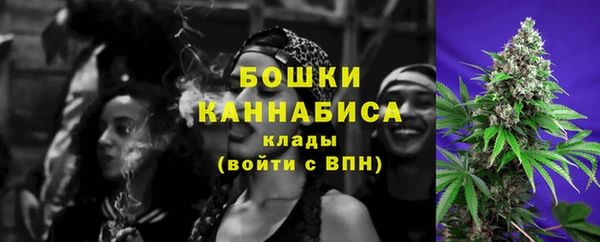 индика Михайлов