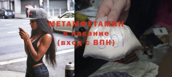 прущие грибы Вязьма