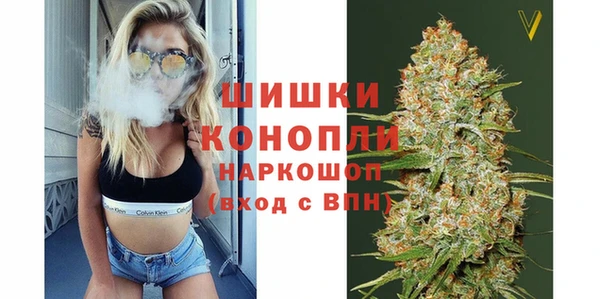 стаф Абаза