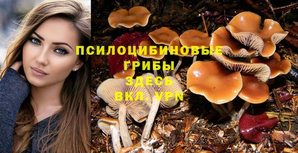 стафф Абдулино