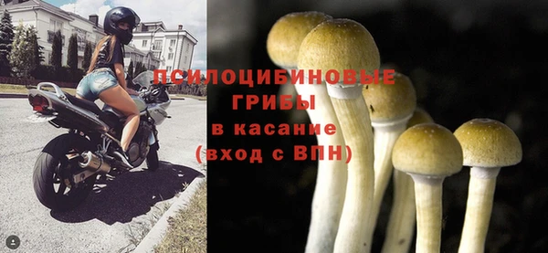 стаф Абаза