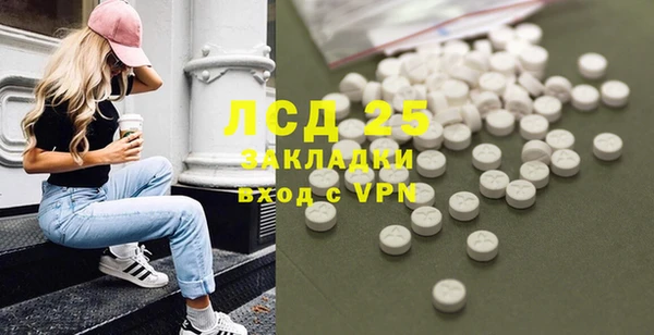индика Михайлов