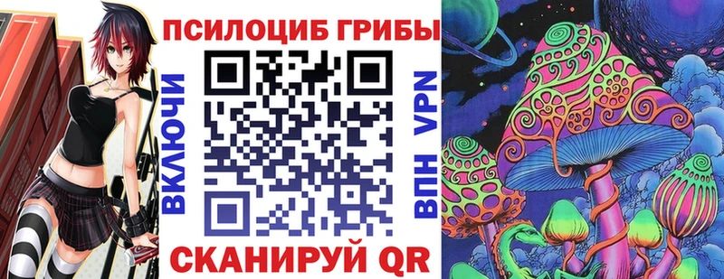 Псилоцибиновые грибы Psilocybe  Усолье 